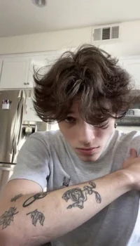 Matt sturniolo