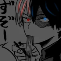 MHA Shoto Todoroki