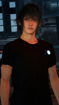 Noctis Lucis Caelum 