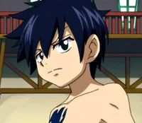 Gray Fullbuster 