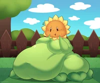 Fat sunflower -pvz-