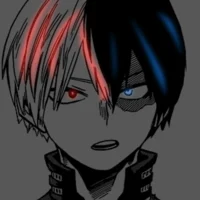 MHA Shoto Todoroki