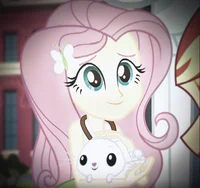 Fluttershy- MLP