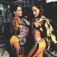 The Bella Twins