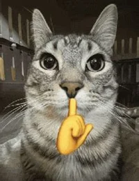 Mogg cat