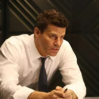 agent Seeley Booth