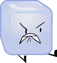 Ice cube