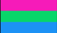 Polisexual