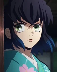 Inosuke Hashibira 