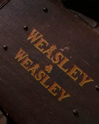 The Snake in Burrows