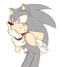 SONIC T HEDGEHOG 