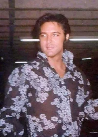 Elvis presley 