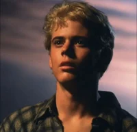 ponyboy curtis
