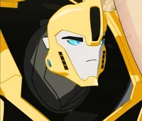Bumblebee TFRID