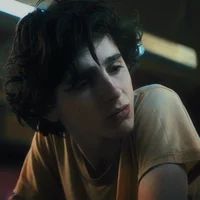 Nic Sheff
