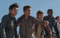 TMR-The Maze Runner 