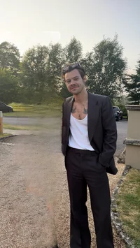 harry styles - 2024