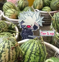 Raiden MGRR