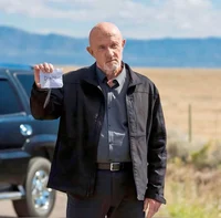 Mike Ehrmantraut 