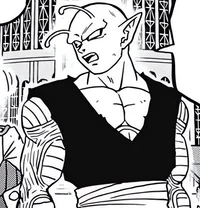 01 - PICCOLO