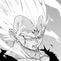 01 - VEGETA