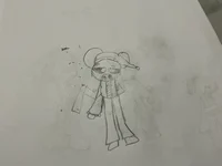 Panta