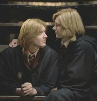 Weasley twins 