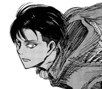 SNK Levi Ackerman