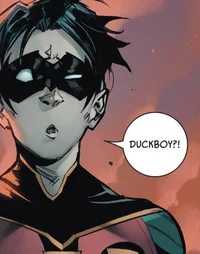 Tim drake 
