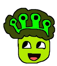 Shedletsky n 1x1x1x1