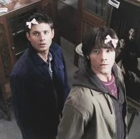 sam and dean - spn
