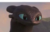Thicc Night Fury
