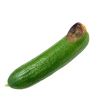 Генри огурченко