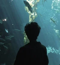 010 PERCY JACKSON