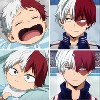 Shoto Todoroki