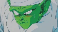 DB- Piccolo