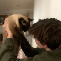 Axel