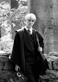 Draco M
