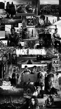 Maze Runner