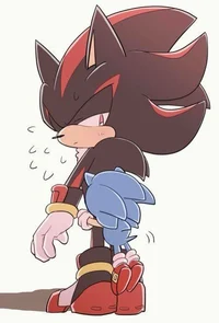 SONADOW FAMILY 