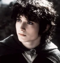 15 FRODO BAGGINS