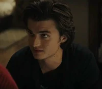Steve Harrington 