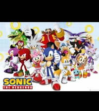 Sonic crew