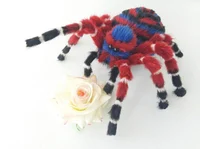 Madam Octa Spider 
