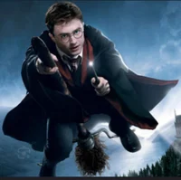 Harry Potter2