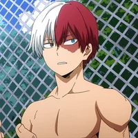 Shoto Todoroki