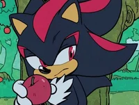 Shadow The Hedgehog