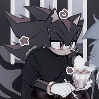 SHADOW T HEDGEHOG 