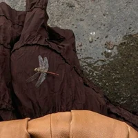 claudia de lioncourt