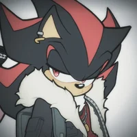 SHADOW T HEDGEHOG 
